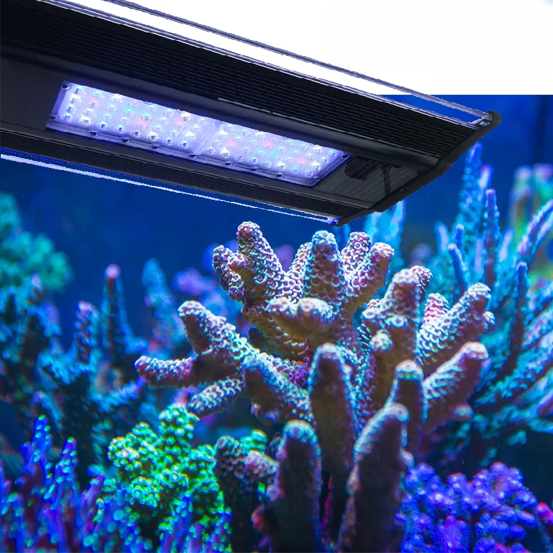 ZETLIGHT Qmaven Coral Lamp Marine Aquarium Light ZT6500II 6600II 6800II Sunrise aquarium accessories fish tank lighting