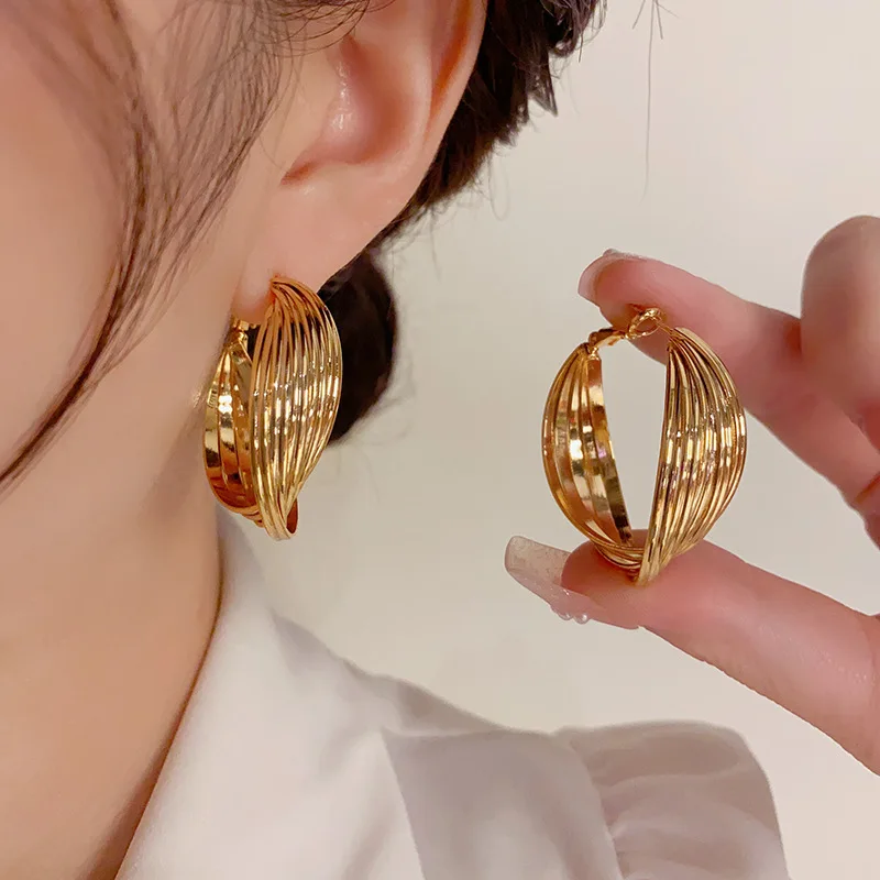 Twisted Metal Earrings Korean Temperament Internet Celebrity Simple Fashion Earrings New Style Trend Silver Needle Ear Buckle