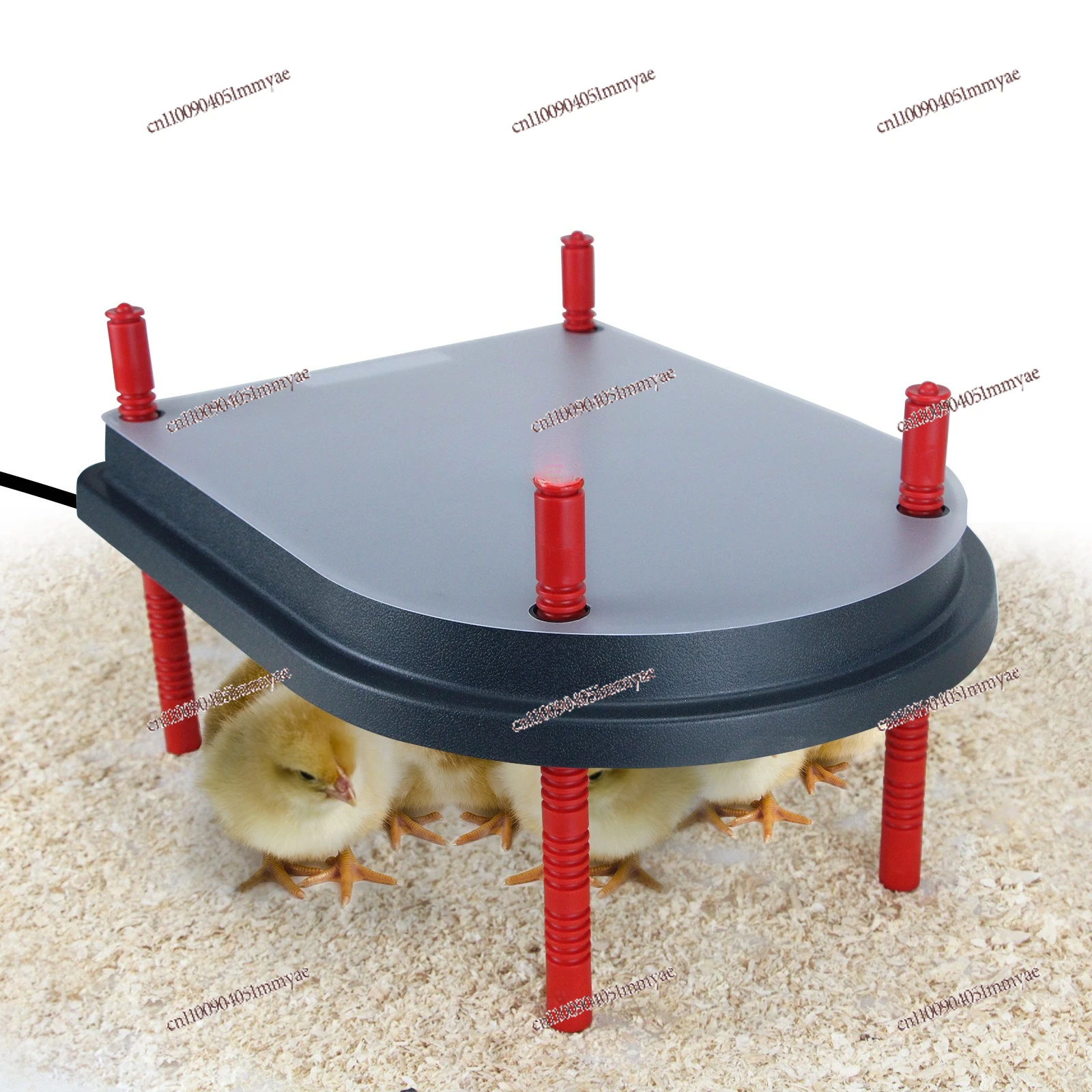 

Upgrade The Chick Warmer, A Large-size Chick Heating Plate Copyrighted Product in China, America and Europe
