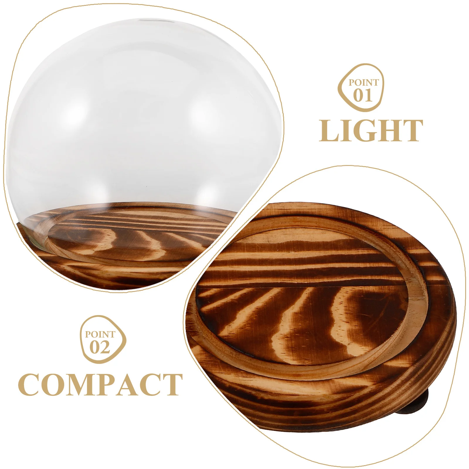 Elegante cúpula de campana de cristal con Base de madera, vitrina transparente para coleccionables, decoración del hogar, cúpula de cristal, vitrina pequeña