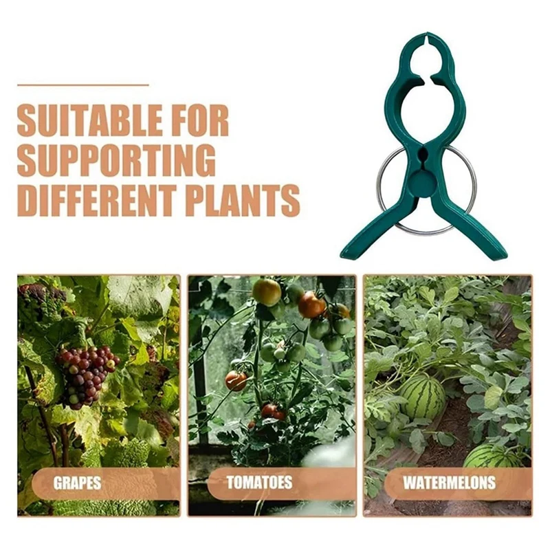 식물 지지대 클립, 고정 플라스틱 식물 클립, 등반 식물용 고정 클립, 재사용 가능 (120, 대형 + 소형)
