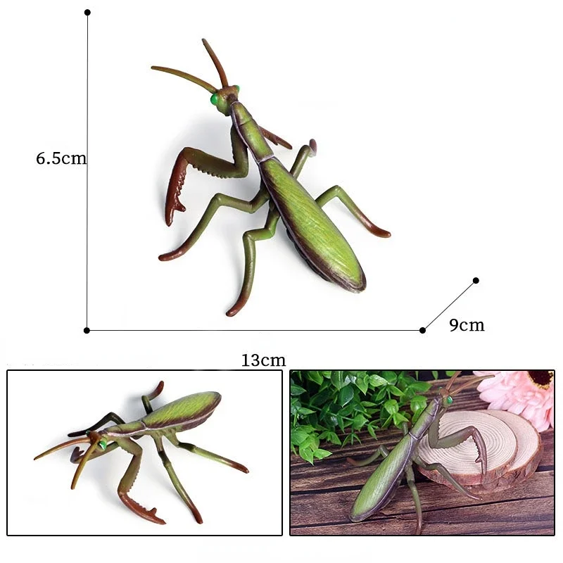 1 Pcs Simulation Animal Insect Model Solid Plastic PVC Toys Children's Gifts Praying Mantis Model Action Figure Classic Toys