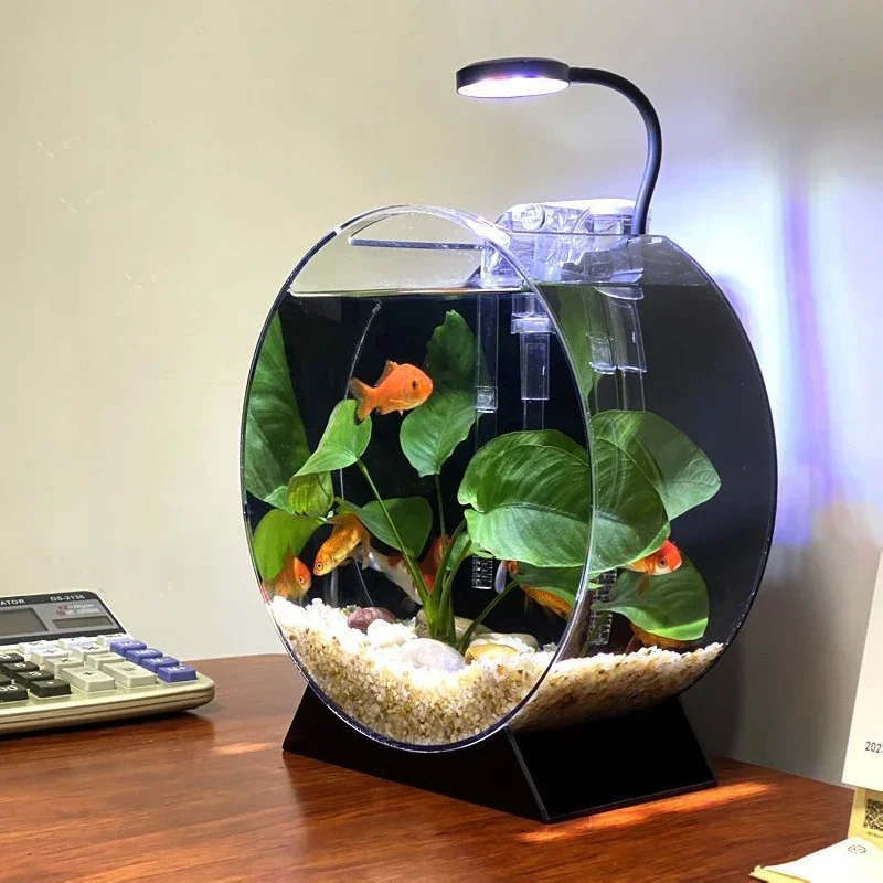 Accessoires d'aquarium multi-taille, table de bureau à domicile, acrylique sur pied, aquarium rond, créatif