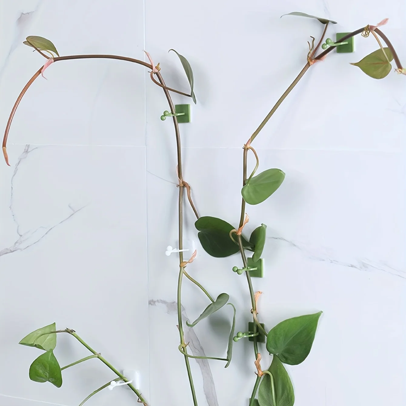 10pcs/20pcs- Plant And Green Plant Fixer,  Green Basket Vine Climbing, Wall Hanging Style Household Universal Hook