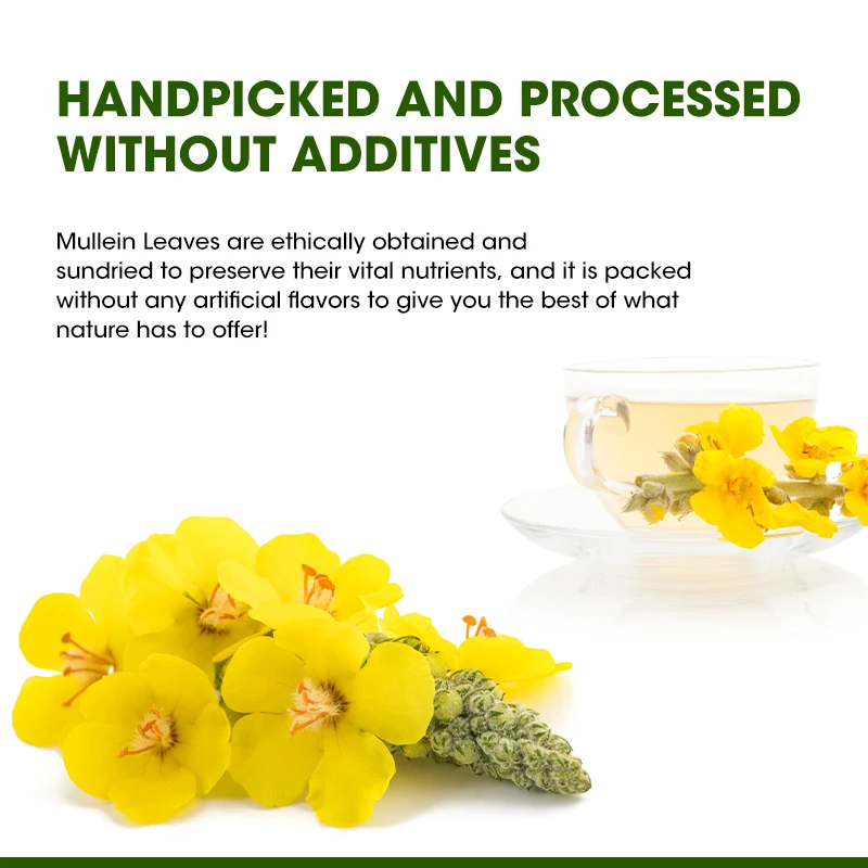 Natürlicher Königs kerzen blatt tee-Kräuter-Atmungs ergänzung-zur Lungen reinigung, zur Unterstützung einer besseren Atmungs-und Immun funktion