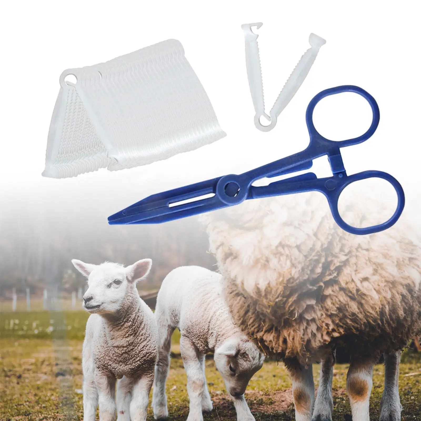 50x 돼지 탯줄 클립 및 포셉 흰색 탯줄 클램프 플라스틱