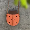 beetle