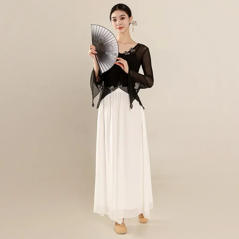 

T classical dance costume, butterfly mesh, body charm, gauze clothing, Chinese ethnic dance practice costume, art exam top, perf