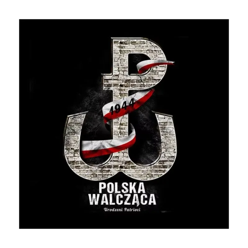 العلم البولندي الشريط القتال بولندا رمز تي شيرت 100% القطن س الرقبة قصيرة الأكمام الصيف عادية قميص رجالي حجم