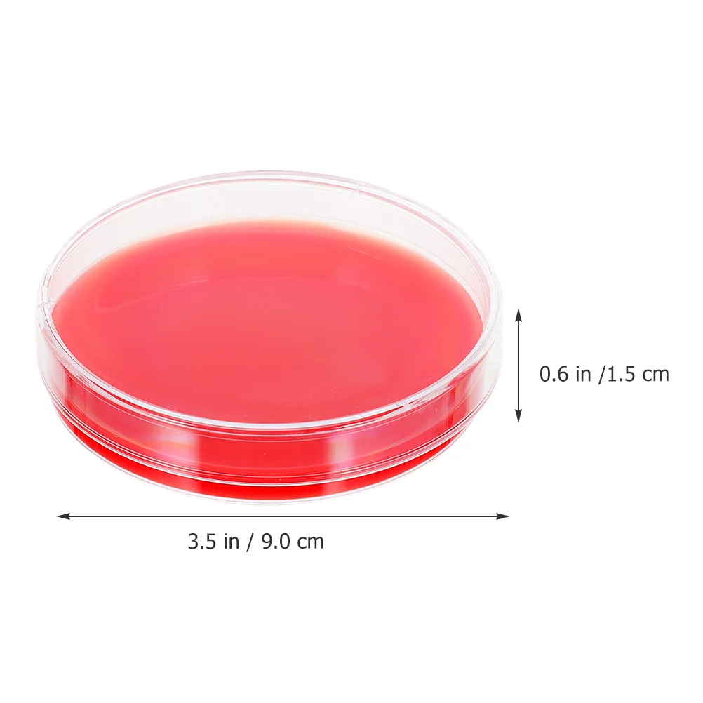 Assiette de culture Petri en verre, agar sanguin, croissance de la boîte, plats de stérilisation moyens, laboratoires, 10 pièces