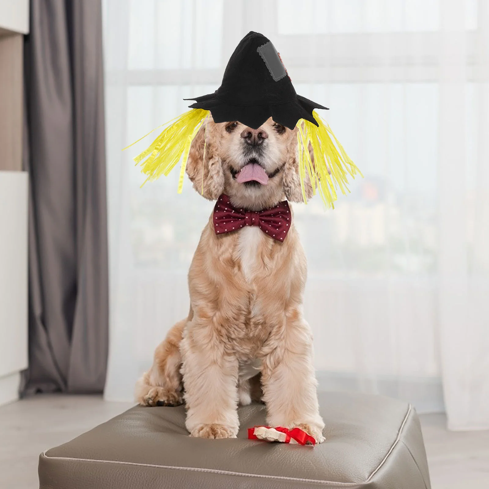 Halloween kostuum vogelverschrikker hoeden dierbenodigdheden cosplay accessoire caps kap voor hond kat maat L halloween huisdier hoed