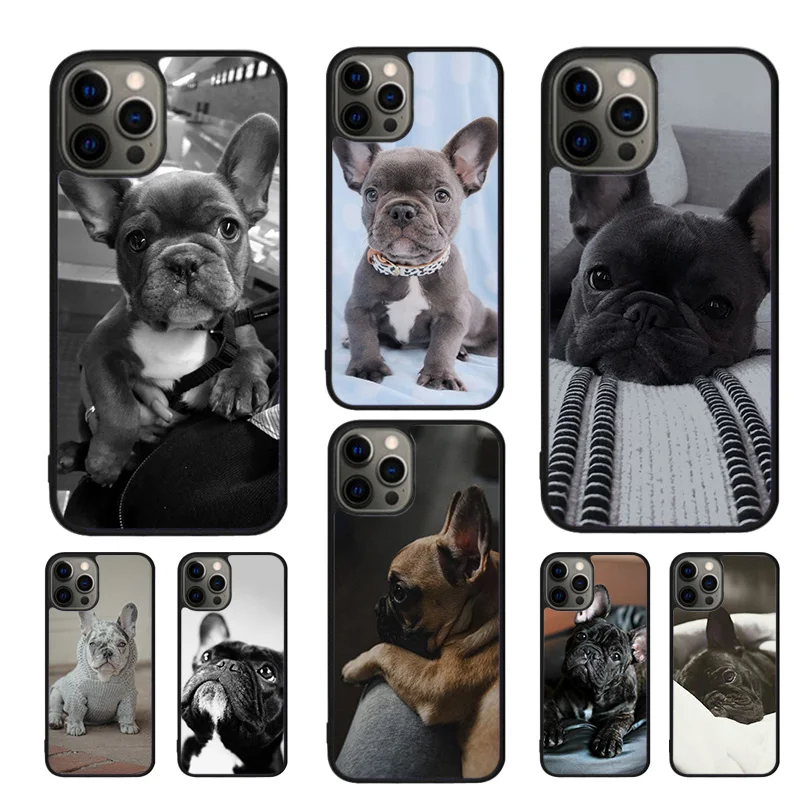 French Bulldog Dog …