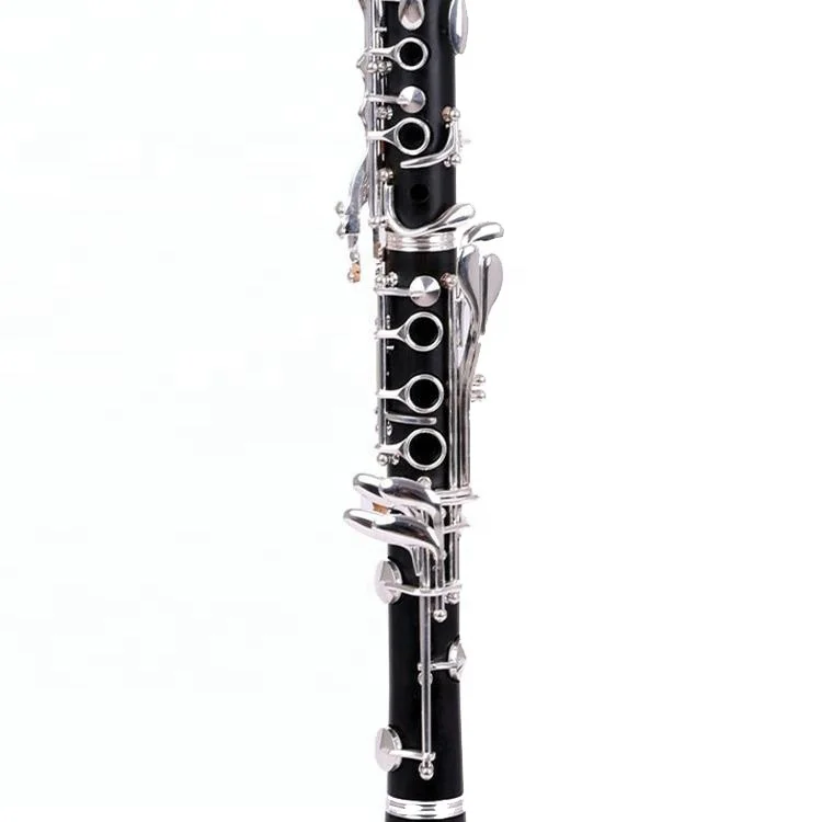 Professional 17-Keys BB Clarinet in Ebony with Silver Keys  Black Leather Case ABS Engraved Plastic-Clarinet