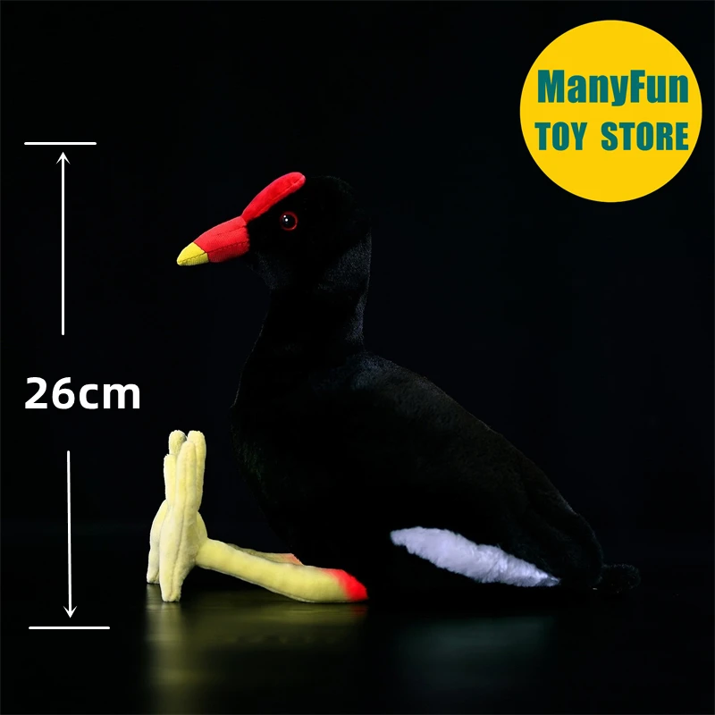 Moorhen brinquedo de pelúcia realista ferroviário plushie lifelike waterhen pelúcia animal inicialização simulação boneca brinquedo presentes