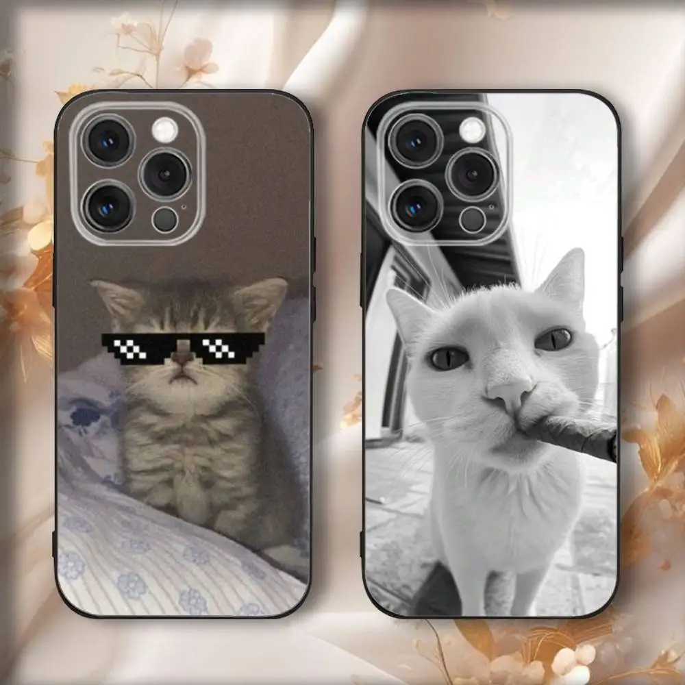 

Cute Cat Meme Phone Case For iPhone16,15,14,13,12,11,Pro,Max,Plus,X,XS,SE4,E,Mini,Soft Black Case