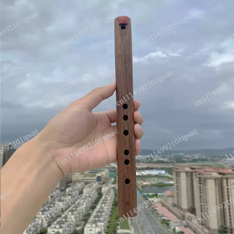 Professional portable short recorder, whistle, wooden flute, unpopular instrument