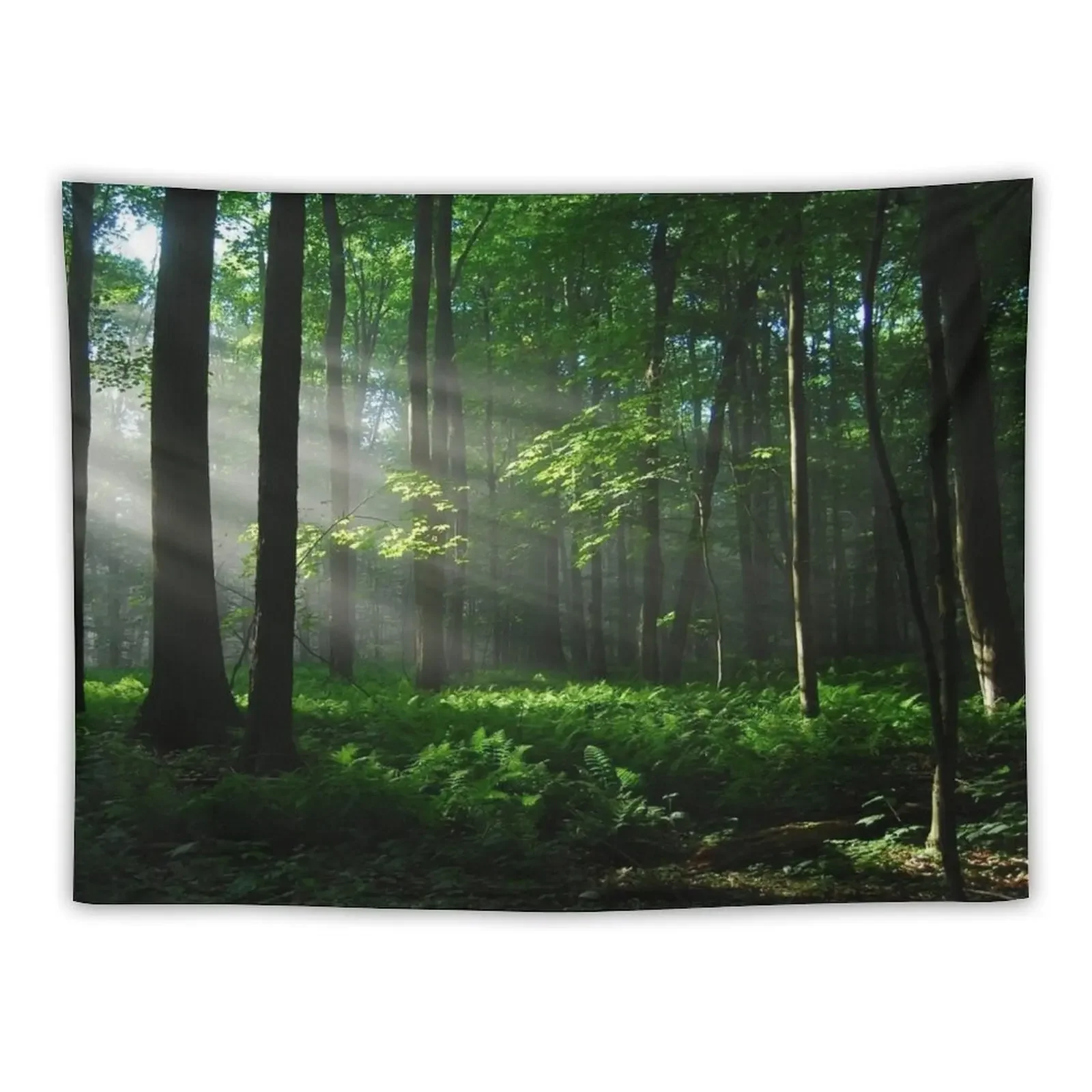 Lighted Forest Tapestry Wall Decor Hanging Carpet On The Wall Bedroom Decor Aesthetic Tapestry