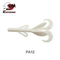 PA12