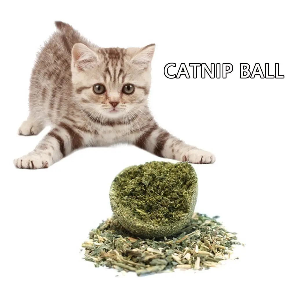 Cat Wall Stick-on Ball Toy Pet Teeth Grinding Tooth Cleaning Cat Grass Balls Cat Snacks Catnip Toy WITH A Free Bell Ball Toy