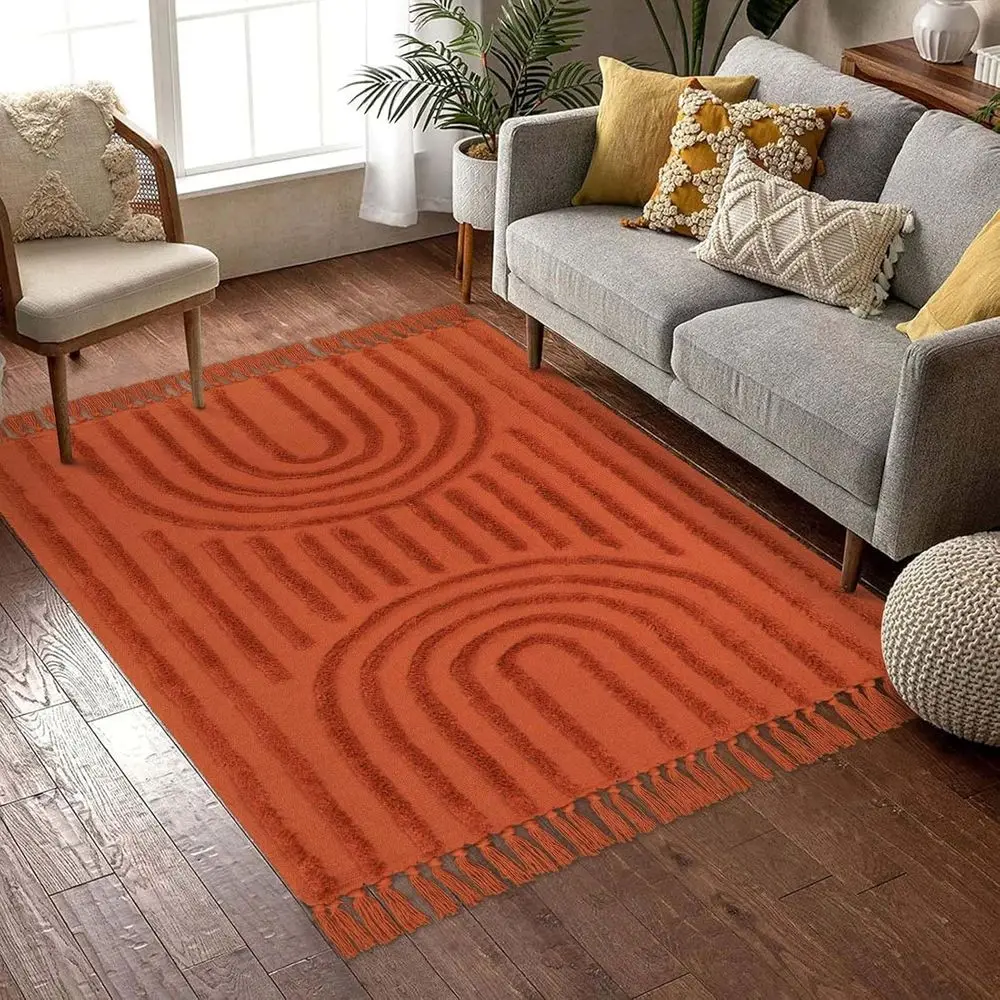 

Terracotta 4x6 Living Room Rug, Washable Woven with Tassels, Modern Rainbow Tufted Bedroom Mat, Cute Farmhouse Carpet for Outdoo