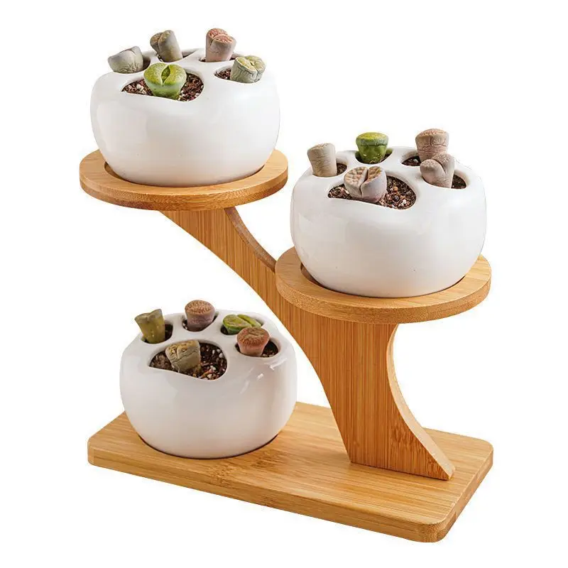 Desktop Creative Flower Rack Succulent Rack Office Living Room Small Flower Display Succulent Flower Rack Small