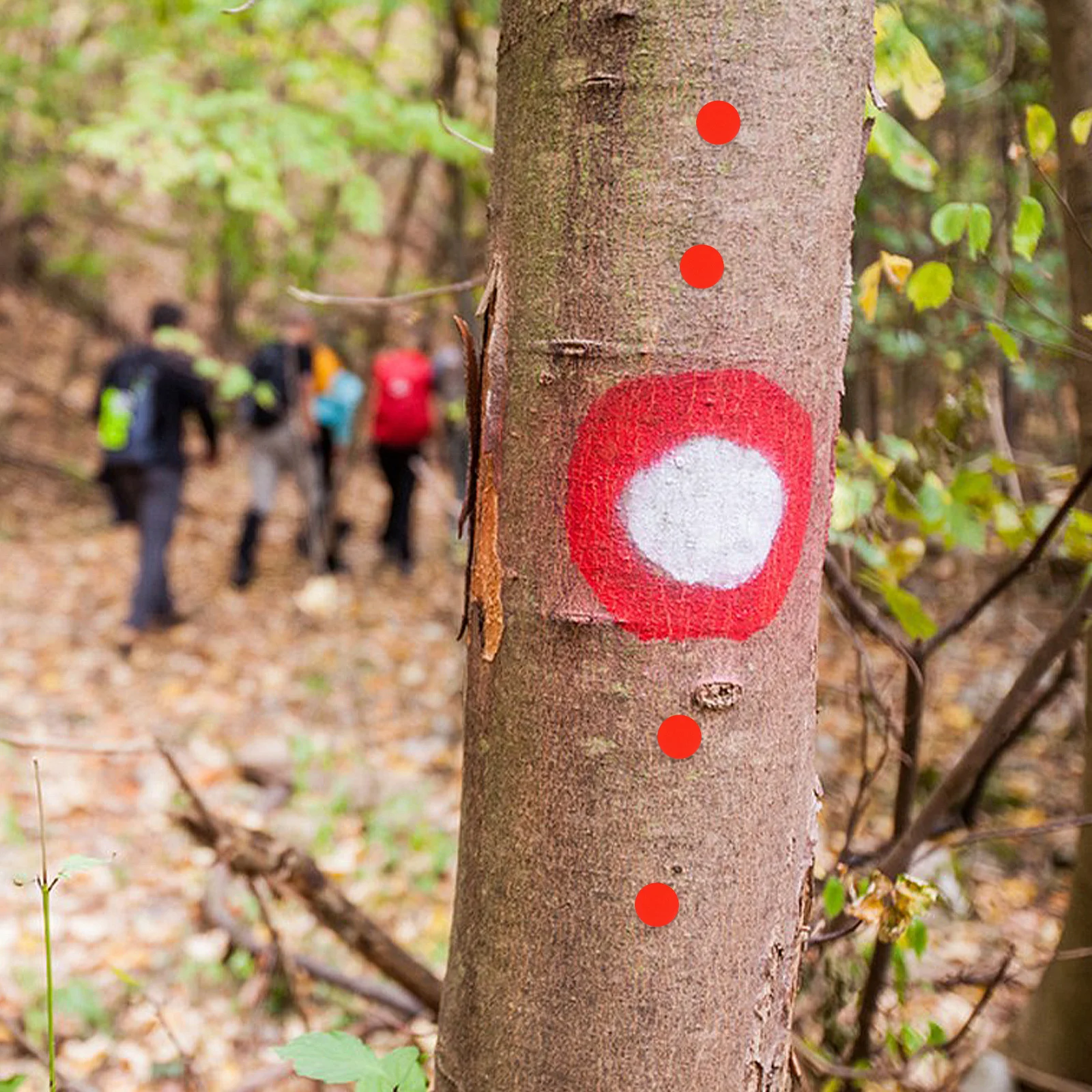 

Reflective Thumbtacks at Night Heavy Duty Push Pins Iron Glow Trail Markers Travel