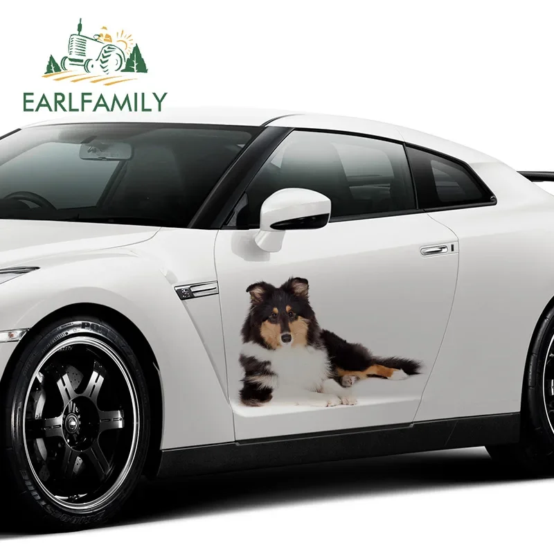EARLFAMILY 43cm x 31cm For Collie Vinyl Material Car Decal Motorcycle Car Stickers Waterproof Auto Air Conditioner Decoration