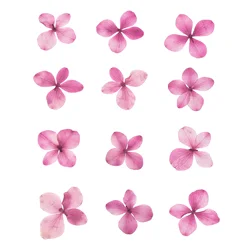 48Pcs Purple Red Dried Pressed Flower Artificial Flower for Resin DIY Crafts Nail Art Cards Scrapbooking Jewelry Decoration