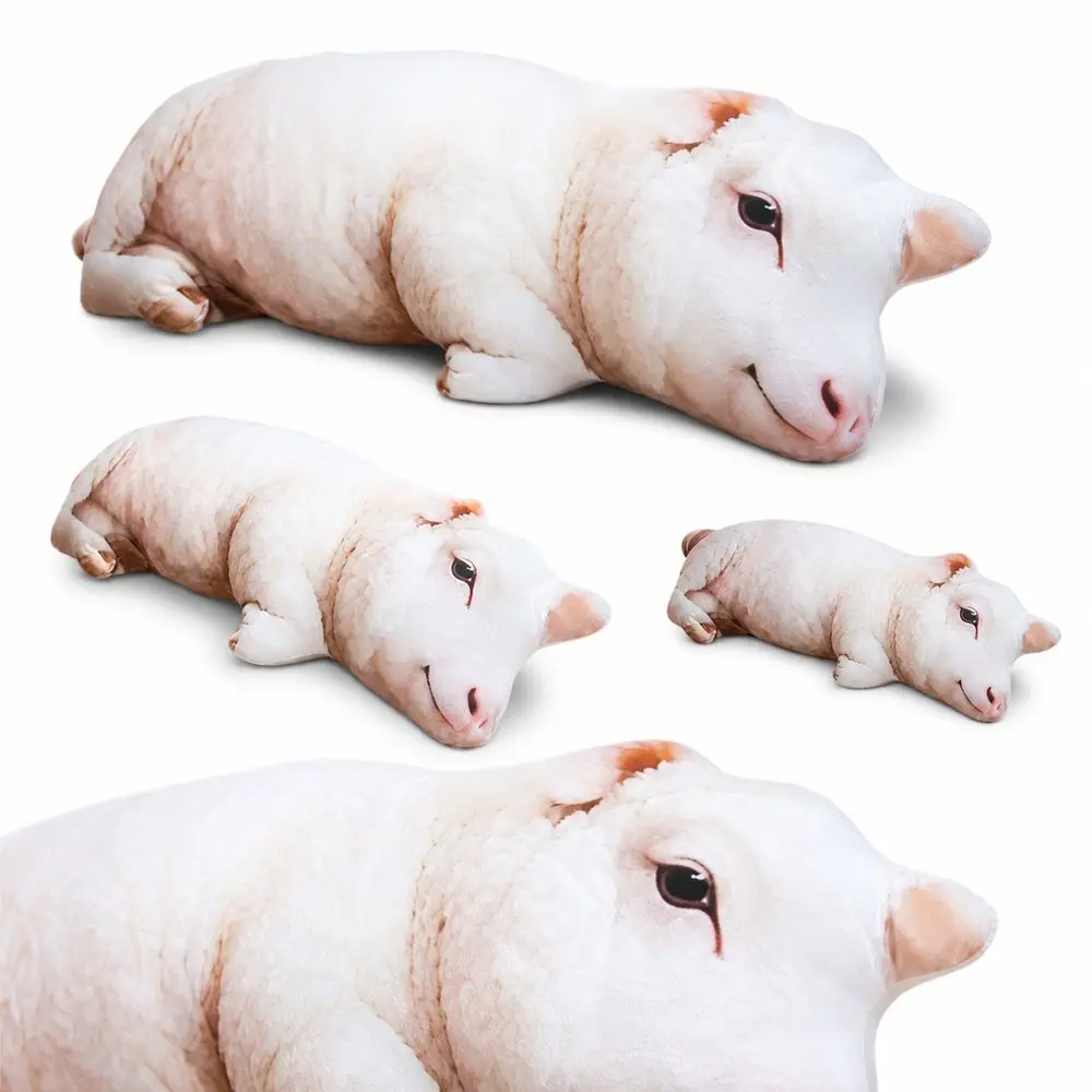 Product photo 4