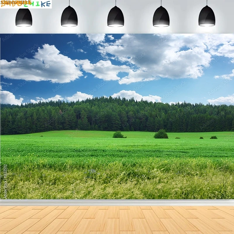 

Green Wheat Field Blue Sky Photography Backdrops Prop Pastoral Scenery Landscape Forest Blooming Rapeseed Photo Background BU-01