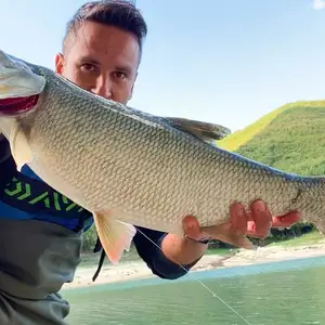 Fiş balıkçılığını cezbetmek için en iyi 10 satış №10