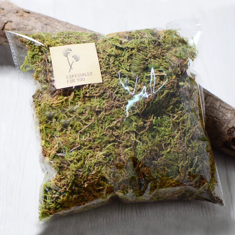 高品質の人工モザイク,100g,偽の植物,緑のモスミニガーデン,マイクロ景観,家の装飾用