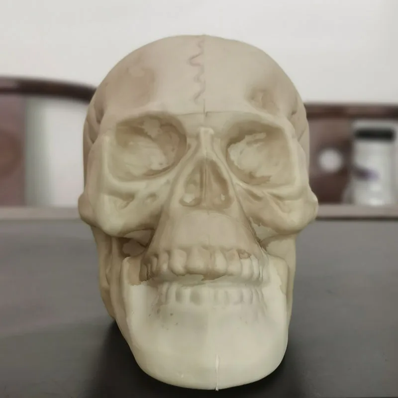 

YOUYIZUO Christmas retro simulation model skull skull skull Halloween skull skull decorative handicraft ornament