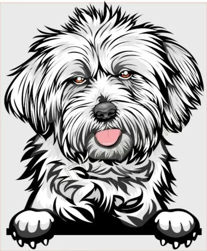 

For LHASA APSO Peeking Dog Breed Color Window Laptop Sticker w/proof