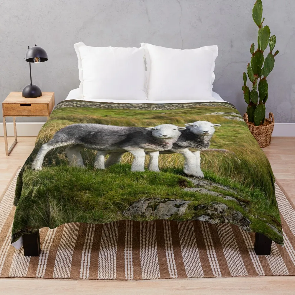 

Herdwick Sheep Landscape Throw Blanket wednesday Winter bed blankets