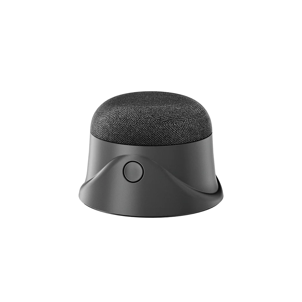 Smart BLE Speaker With ChatGPT AI for Seamless Connectivity and Everyday Users