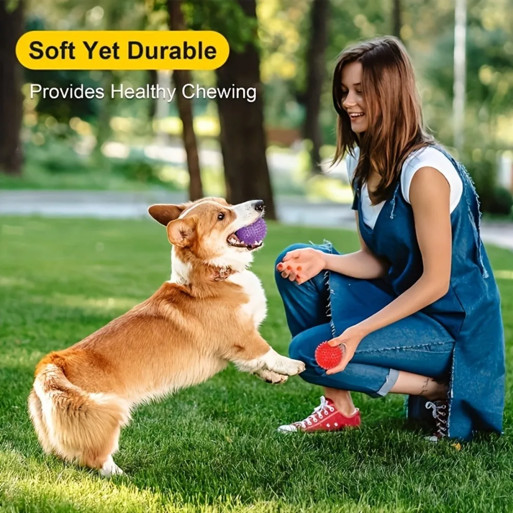 6pcs Durable Dog Toys: Squeaky Balls For Teeth Cleaning & Training - Safe & BPA Free For Small & Medium Dogs!