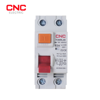 CNC AC Type RCCB Electromagnetic Residual Current Circuit Breaker AC RCCB 2 Pole 25A 40A 63A 100A RCD 30mA 300mA