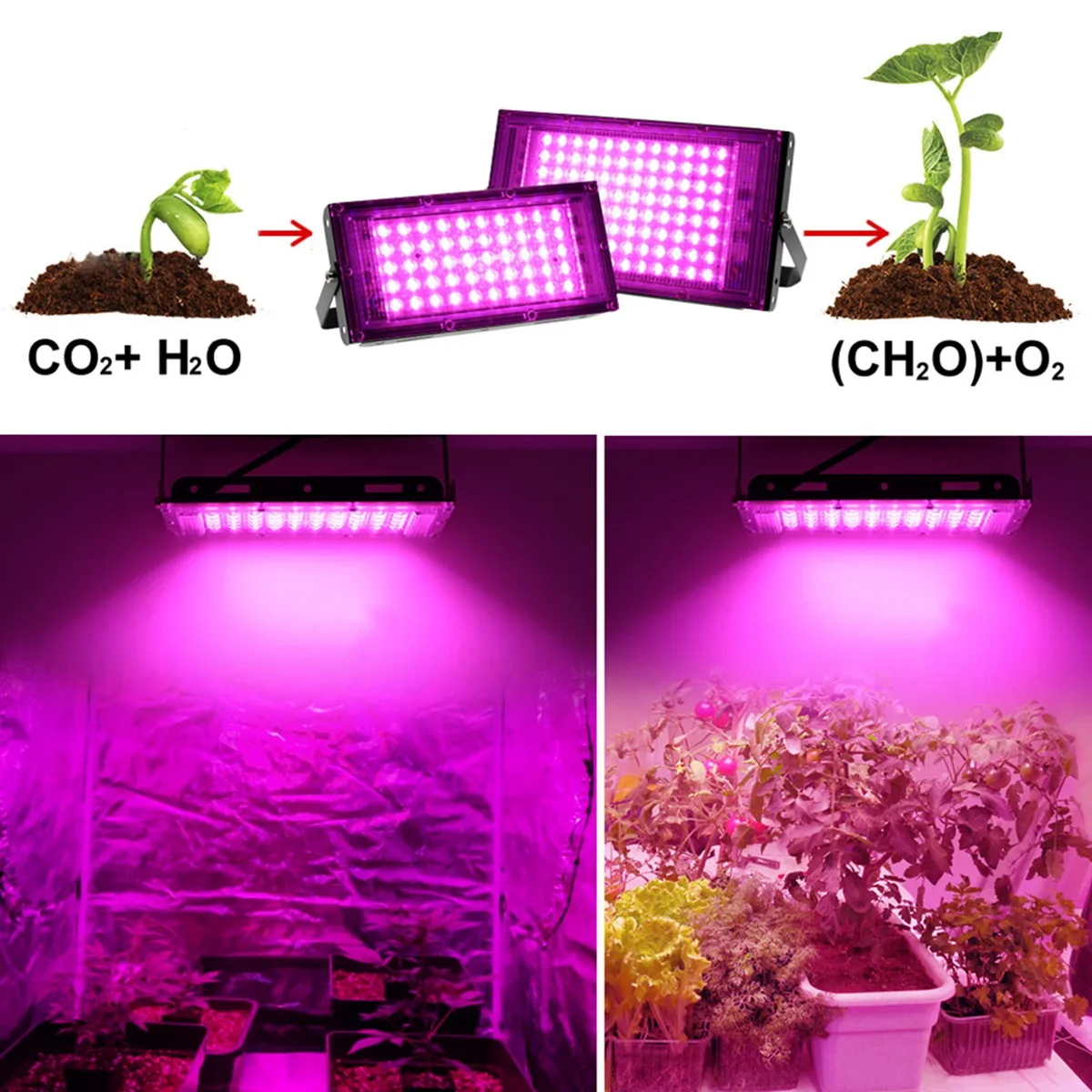 ไฟ Grow LED 100วัตต์เต็มสเปกตรัมโคมไฟไฟโตสำหรับพืชหลอดไฟ LED Grow ปลั๊กสายไฟสำหรับการเจริญเติบโตของเรือนกระจก