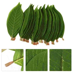 50 Pcs Artificial Magnolia Leaves Decorative Faux Plant Simulated Green Plant Festive Party Supplies Home Garden Accessories