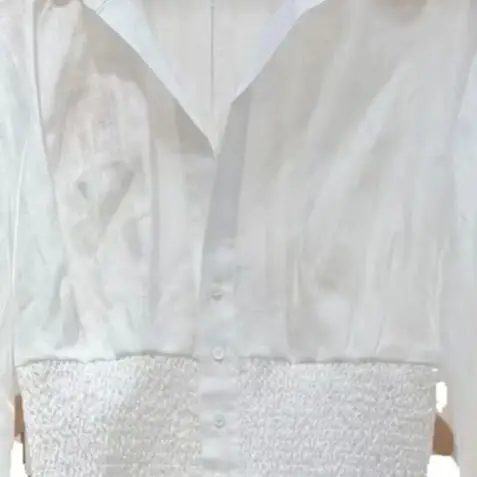 

Spring/Summer Women Turn-down Collar Elastic Waist Lantern Long Sleeve Solid Slim Shirt Waist Single-Breasted Elegant Blouse