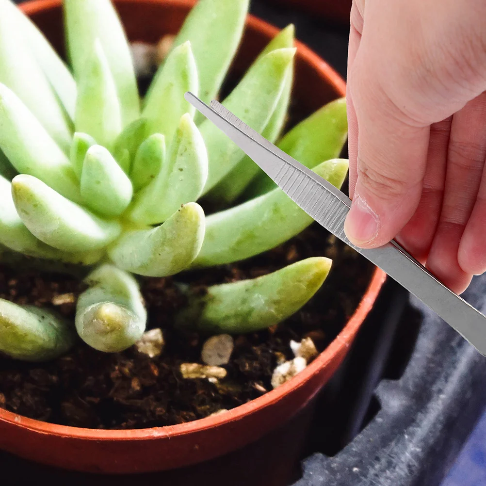 Pince à épiler en acier inoxydable pour hommes, outil de cils, outils à main de jardin, ménage, plantes