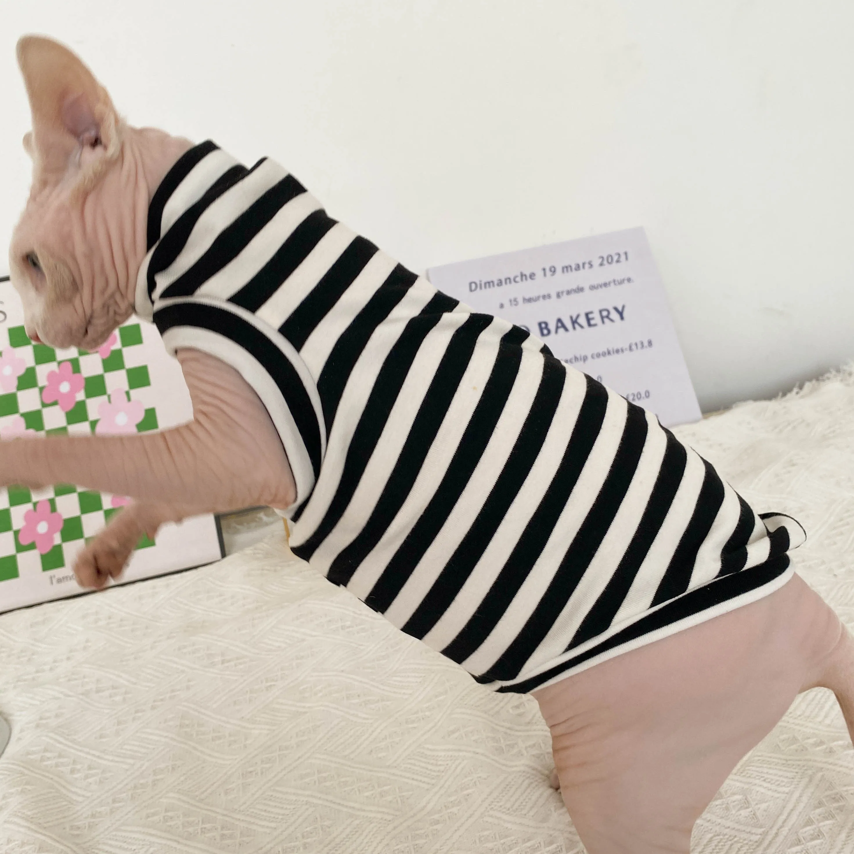 Spring Autumn Winter Sphynx Cat Clothes Thicken Kittens Jumpsuit For Sphinx Cats Striped Hoodies Warm Costume DevonRex Shirt