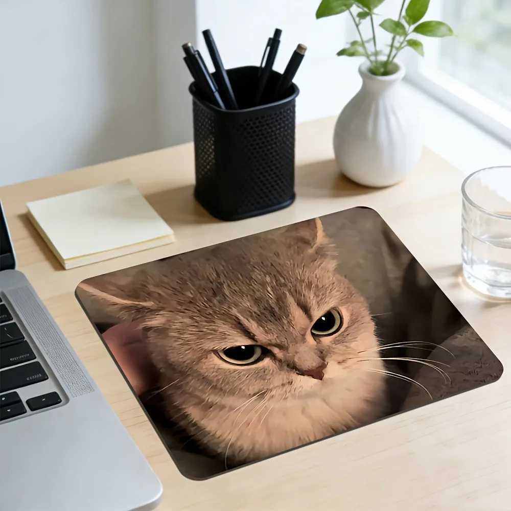 Angry Cat Mouse Pad Small Locking Edge Keyboard Mats Pc Gaming Office Rubber Anti Slip Mousepad Computer Accessories Table Mat
