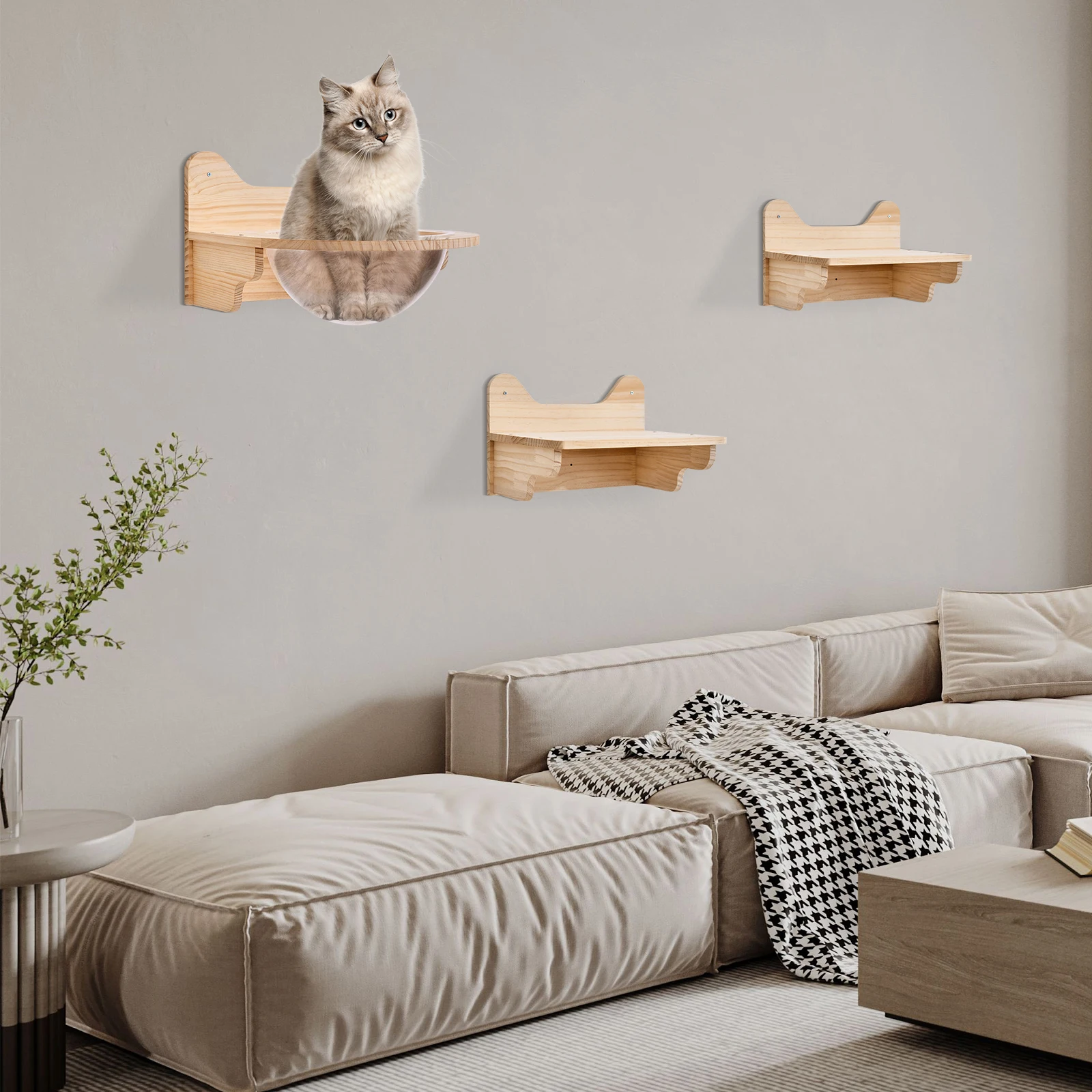 

Wall-Mounted Cat Capsule & Platform Set, 15.75" Pine Wood Perch with Clear Acrylic Pod for Climbing/Play (17.6lb Capacity)