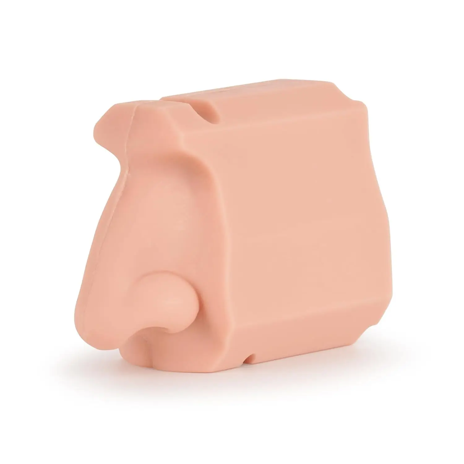Ultrassist Nasal Anatomy Model Human Nasal Cavity Non‑Detachable for Medical Examination  Practice Scientific Teaching Display