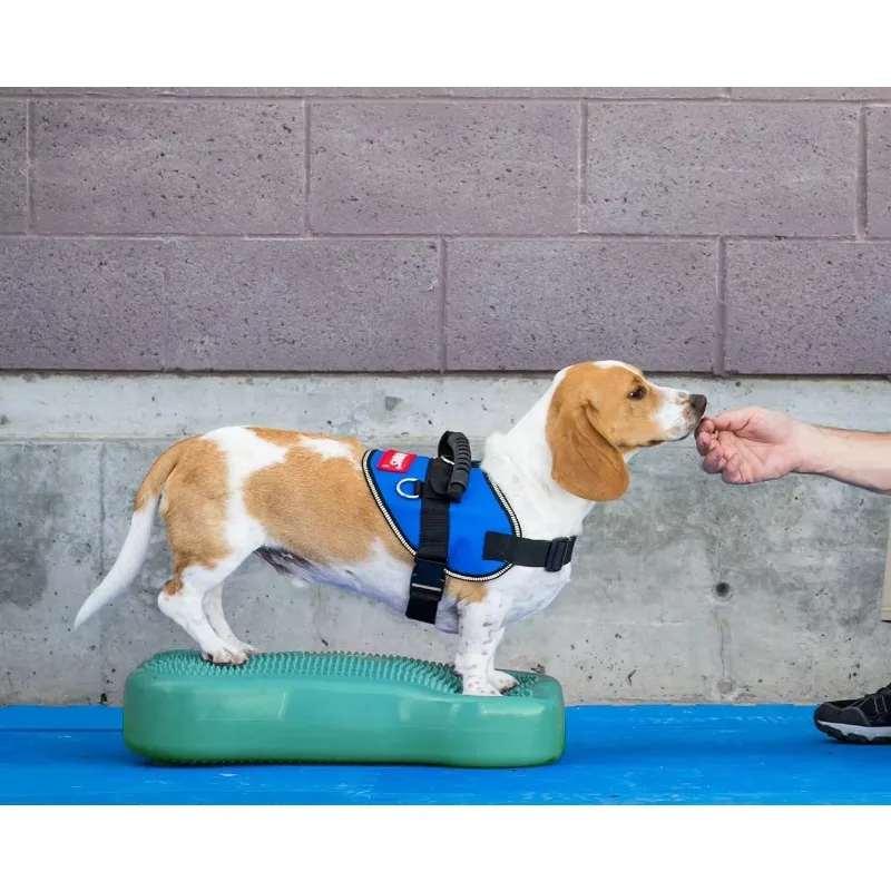 

Ball Dynamics Balance Training Device for Dog Training and Fit