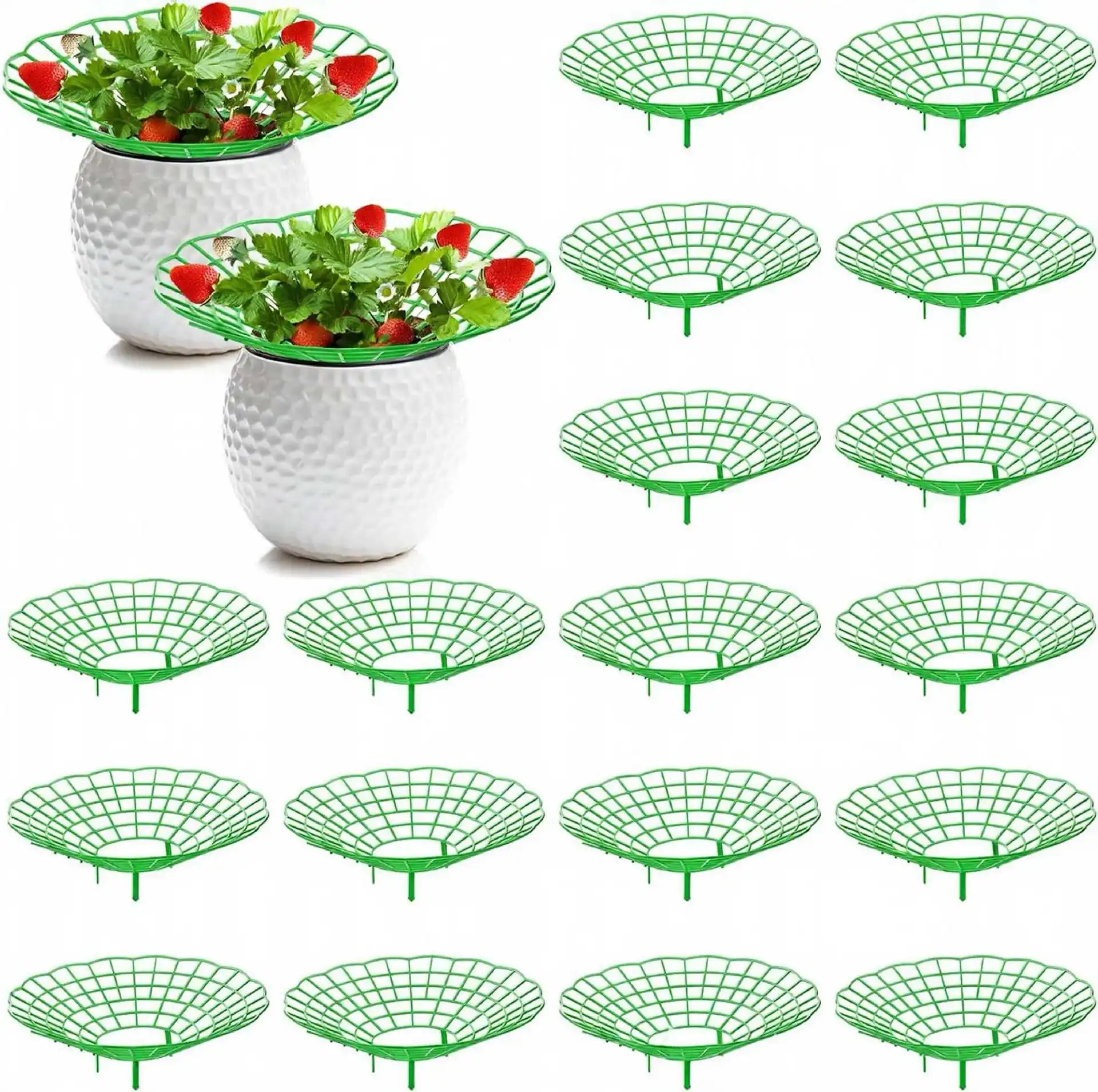 Strawberry Bracket Strawberry Planting Three-Dimensional Frame Tray Fruit Support Frame Pastoral Anti-Rotten Green Plant