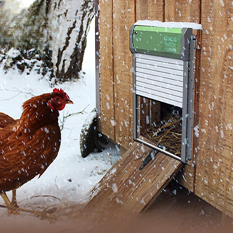 selling automatic chicken coop door with light sensing chicken hen automatic door chicken door opening kit