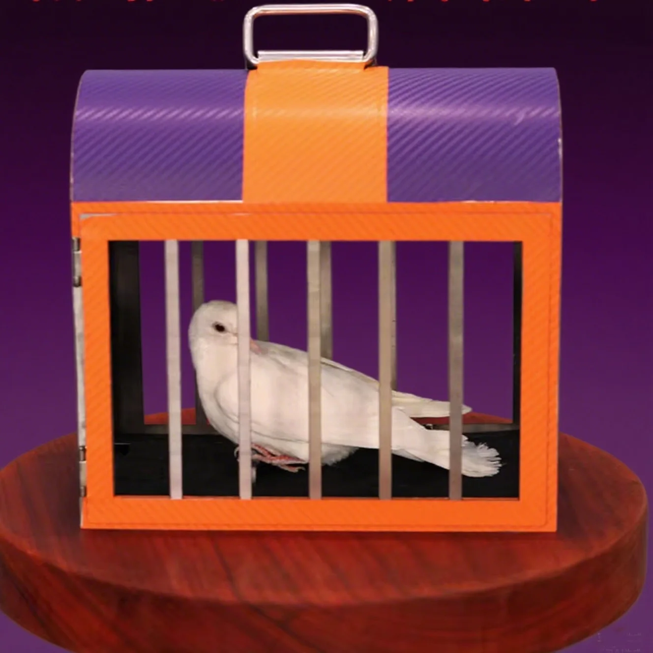 Dove to Rabbit Magic Tricks Dove Vanishes and Rabbit Appearing in the Cage Visual Change Stage Illusions Gimmicks Prop